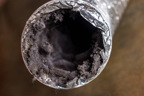 Best Residential Air Duct Cleaning  in Sulphur, OK